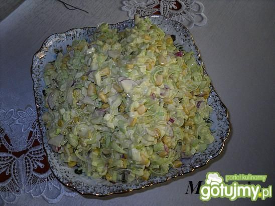 Sałatka z pora i rzodkiewki