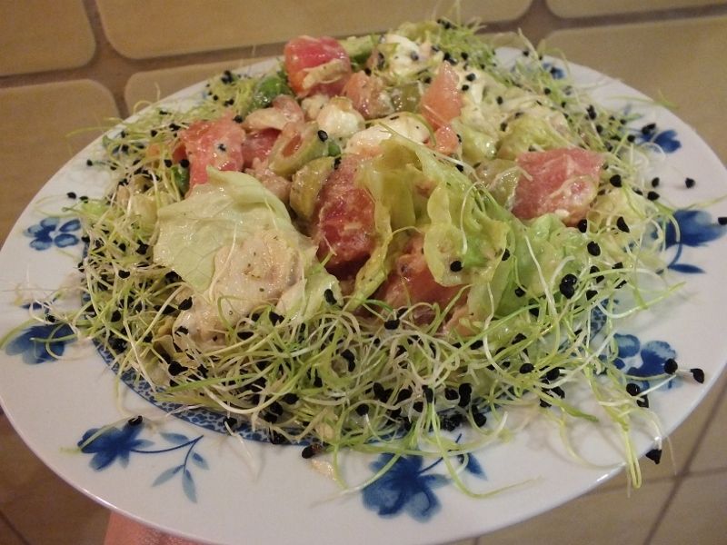 Sałatka z pstrągiem alpejskim i kiełkami cebuli