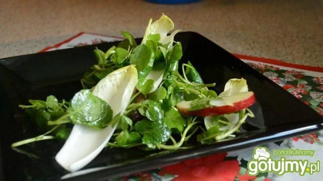 Sałatka z rukwi wodnej i cykorii Sałatka z rukwi wodnej i cykorii