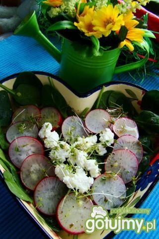 Sałatka z rzeżuchą i serem patros