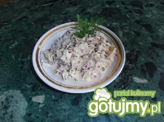 Sałatka z rzodkiewek z majonezem