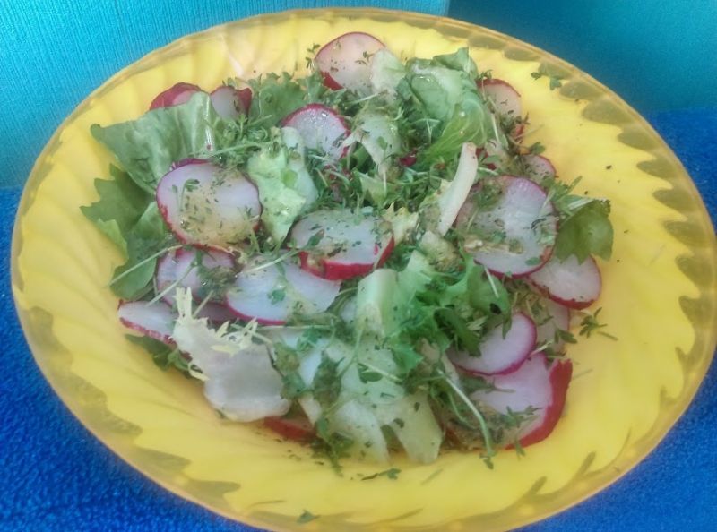 Sałatka z rzodkiewką i rzeżuchą Sałatka z rzodkiewką i rzeżuchą