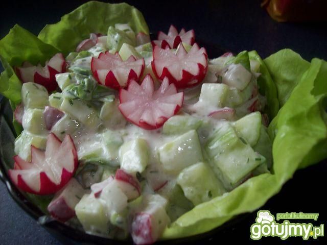 Sałatka z rzodkiewki i ogórka