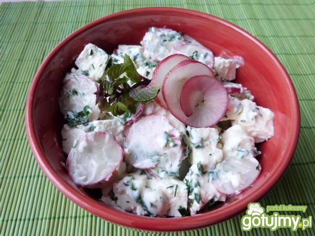 Sałatka z rzodkiewki i sera twarogowego Sałatka z rzodkiewki i sera twarogowego