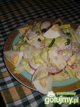 Sałatka z rzodkiewki, jajek i sałaty