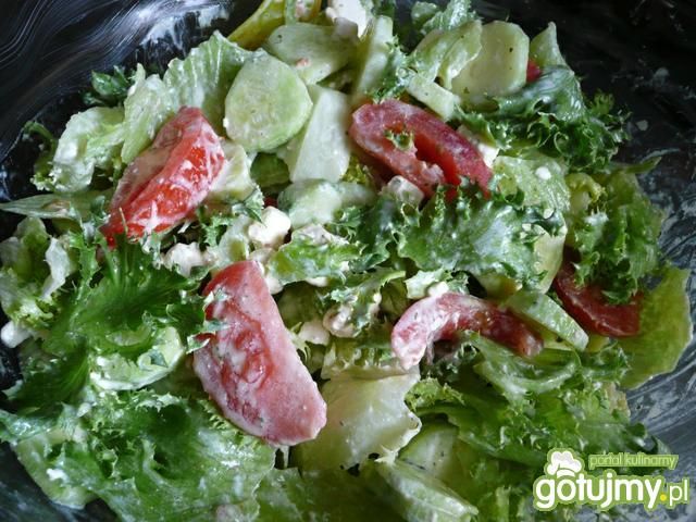 Sałatka z sałaty Lollo Sałatka z sałaty Lollo