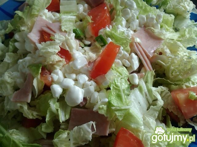 Sałatka z warzywami i serkiem wiejskiem  Sałatka z warzywami i serkiem wiejskiem