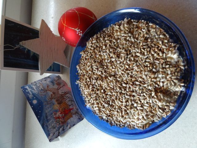 Sałatka ze słonecznikiem prażonym