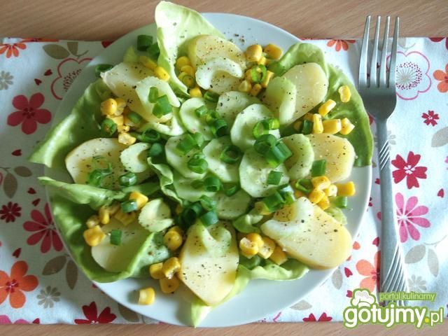 Sałatka żółto-zielona 2 Sałatka żółto-zielona 2