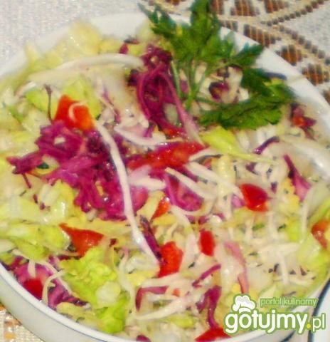 Sałaty z dresingiem z czarnej porzeczki
