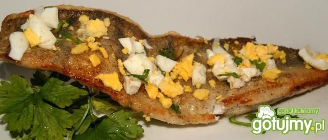 Sandacz z ,, posypką jajeczną,,