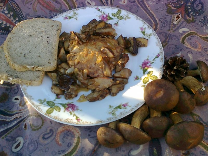 Schab duszony z grzybami Schab duszony z grzybami