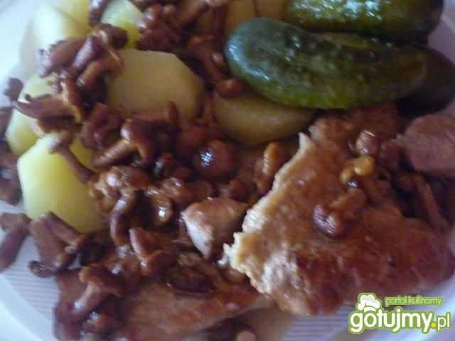 Schab w sosie kurkowym Schab w sosie kurkowym