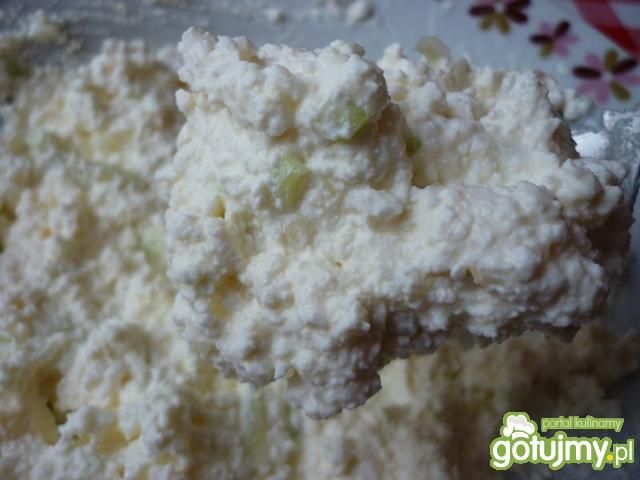 Ser twarogowy z cebulą.