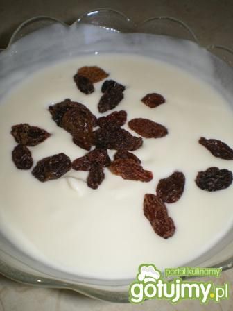 Serek waniliowy z rodzynkami Serek waniliowy z rodzynkami