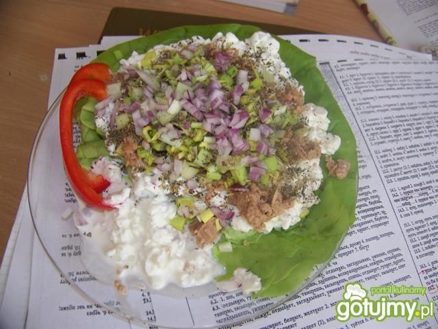 Serek wiejski z tuńczykiem na sałacie