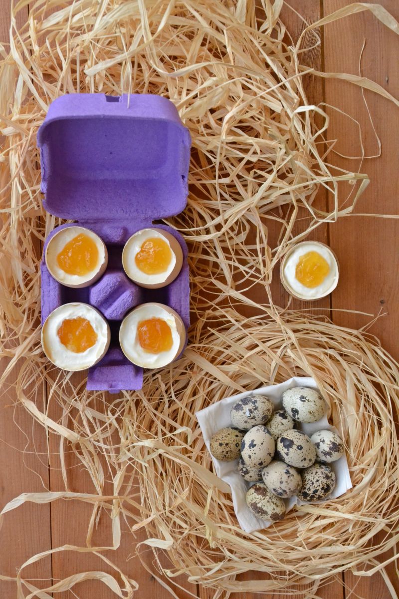 Serniczki w skorupkach