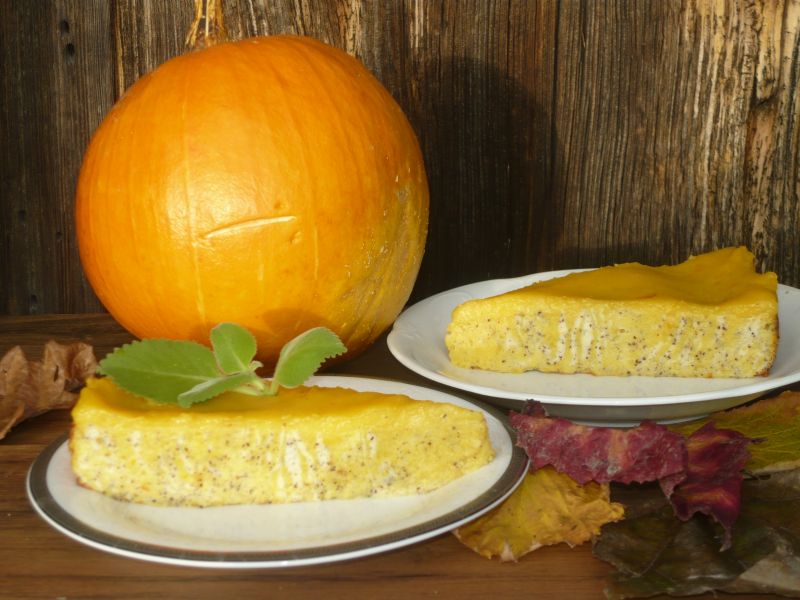 Sernik dyniowo makowy  Sernik dyniowo makowy