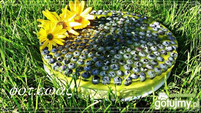 Sernik na zimno z borówkami Sernik na zimno z borówkami