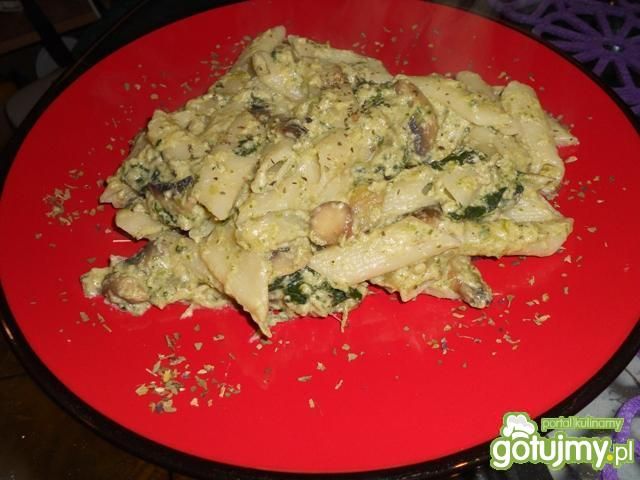 Shrekowe Penne  Shrekowe Penne