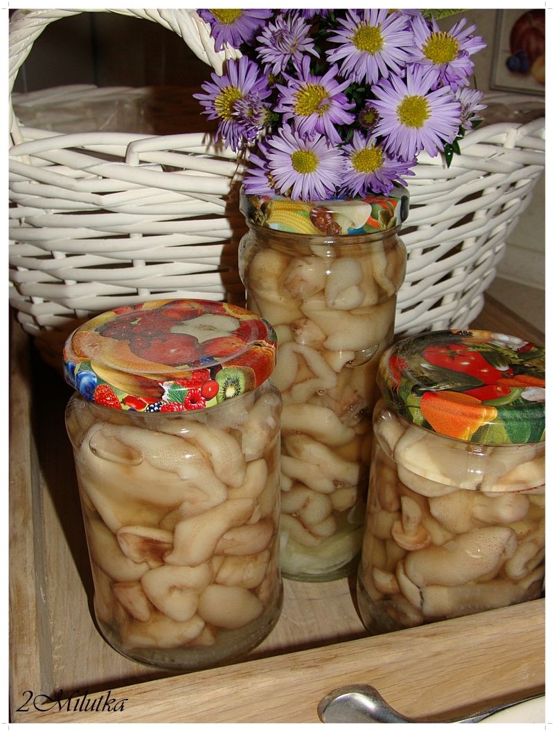 Skarby lasu w marynacie