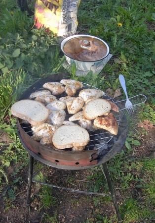 Skrzydełka z grilla  Skrzydełka z grilla