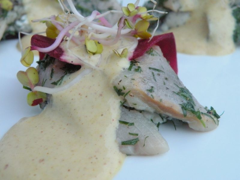 Śledź marynowany a'la gravlax z sosem musztardowym Śledź marynowany a'la gravlax z sosem musztardowym