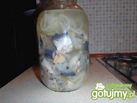 Śledź solony w zalewie octowej Śledź solony w zalewie octowej