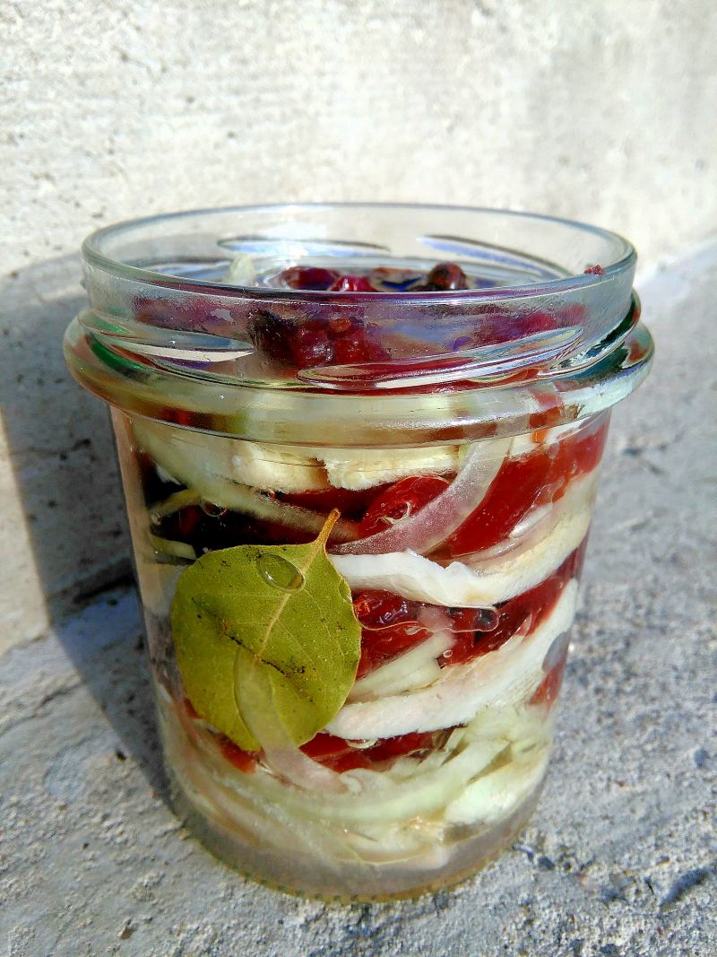 Śledź w oleju z cebulą i żurawiną