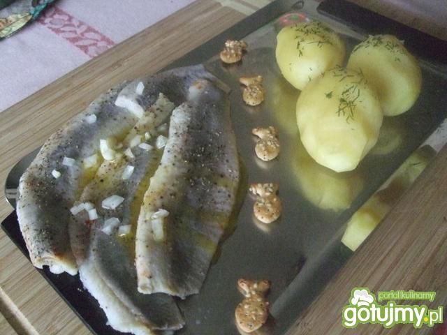 Śledzie najzwyklejsze pod słoncem Śledzie najzwyklejsze pod słoncem