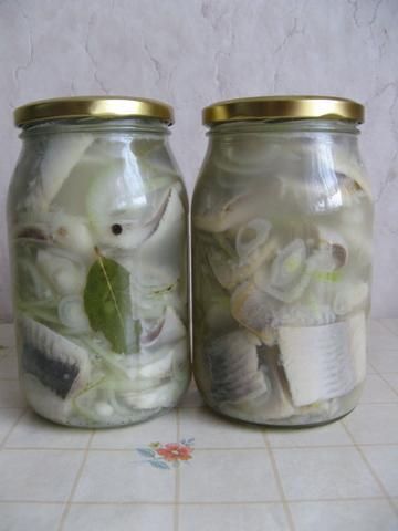 Śledzie w zalewie octowej Śledzie w zalewie octowej