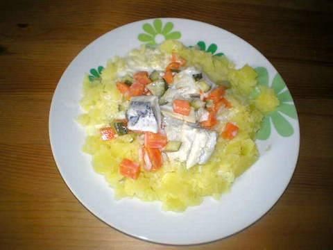 Śledzik w śmietanie - ogórek - marchewka Śledzik w śmietanie - ogórek - marchewka