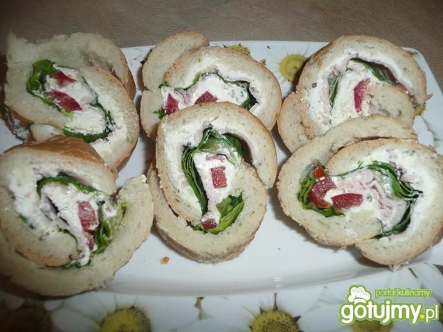 ślimaczki aginaa ślimaczki aginaa