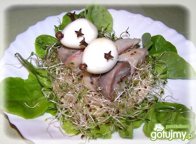 Ślimaczki cudaczki na waflach ryżowych. Ślimaczki cudaczki na waflach ryżowych.