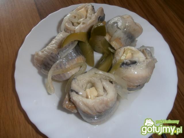 Ślimaczki śledziowe