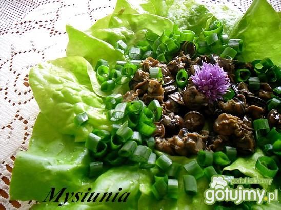 Ślimaki na sałacie Ślimaki na sałacie