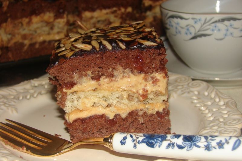 Słonecznikowiec Słonecznikowiec