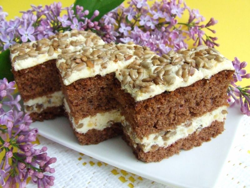 Słonecznikowiec  Słonecznikowiec