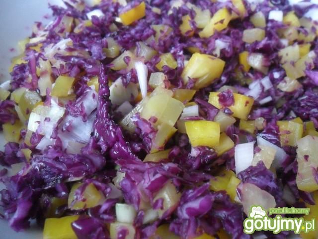 Smaczna surówka z czerwonej kapusty Smaczna surówka z czerwonej kapusty