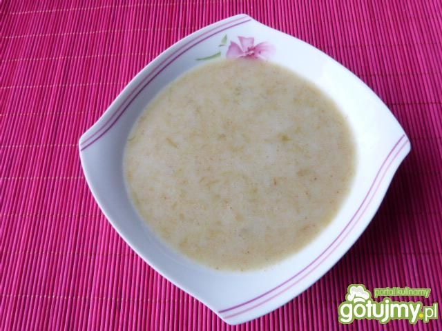 Smaczna zupa z rabarbaru