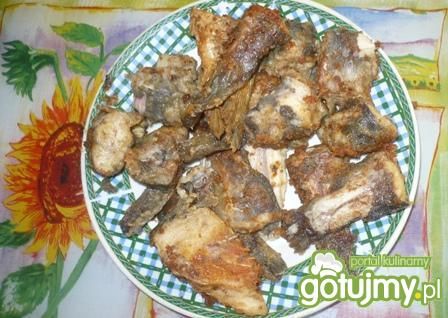 Smażony bękart srebrzysty Smażony bękart srebrzysty