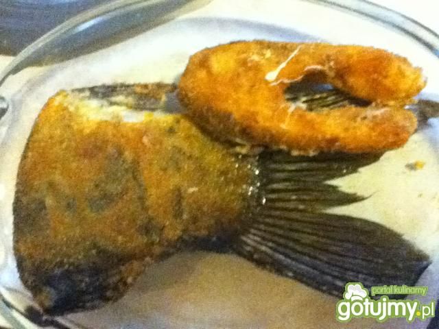 Smażony karp Smażony karp