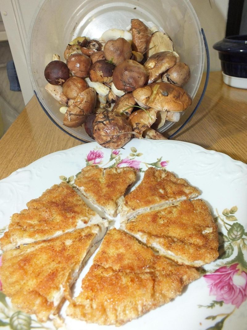 Smażony kotlet z kani