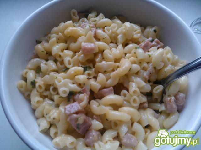 Śmieciowy makaron Śmieciowy makaron
