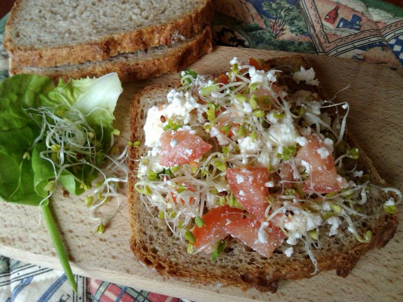 Śniadaniowy twarożek z kiełkami i pomidorem  Śniadaniowy twarożek z kiełkami i pomidorem