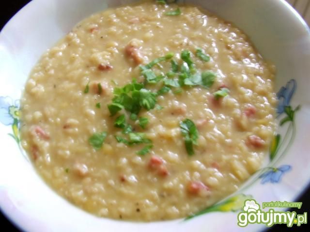 Soczewica po francusku Soczewica po francusku