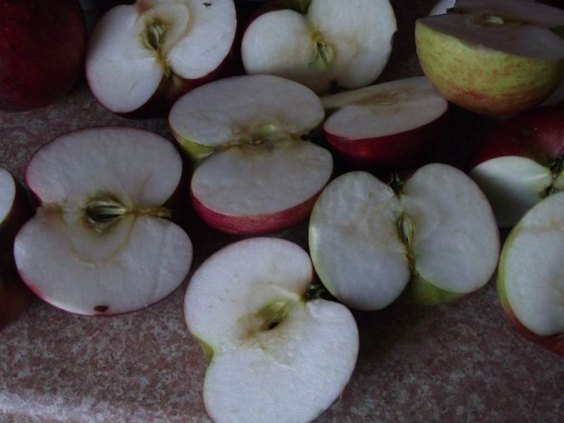 Sok jednodniowy marchwiowo-jabłkowy z grejpfrutem 