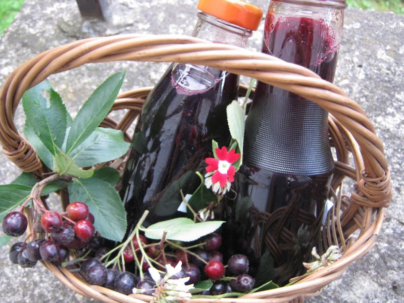 Sok z aronii z sokownika Sok z aronii z sokownika