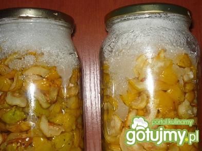 Sok z owoców pigwowca