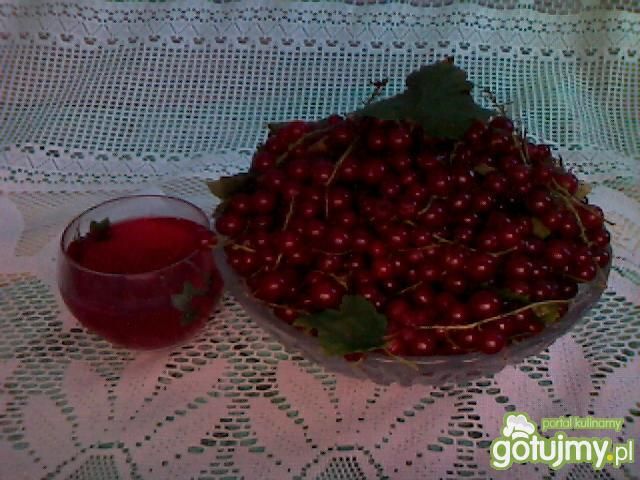 Sok z porzeczek czerwonych              